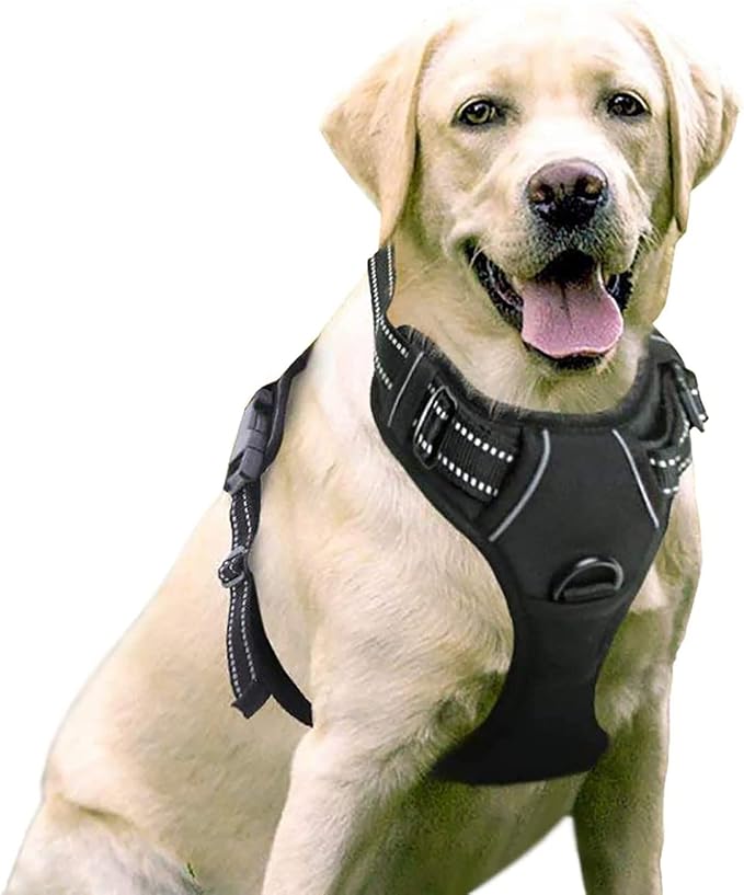 Arnés antitirones rabbitgoo para perros medianos y grandes, talla L