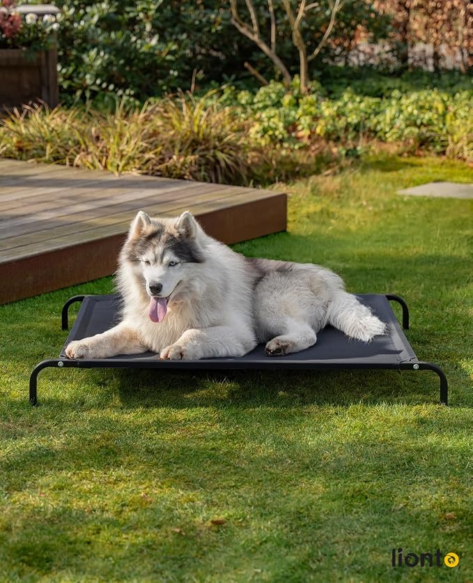 Lionto Cama Elevada para Perros, 117 × 85 × 15 cm