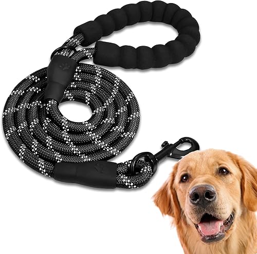 Correa Edipets de paseo