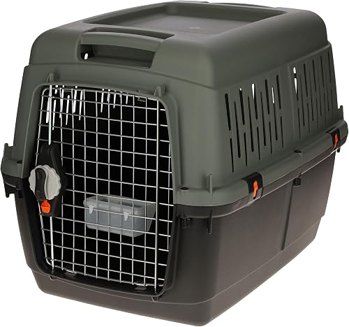 Caja de transporte Kerbl 70 x 50 cm