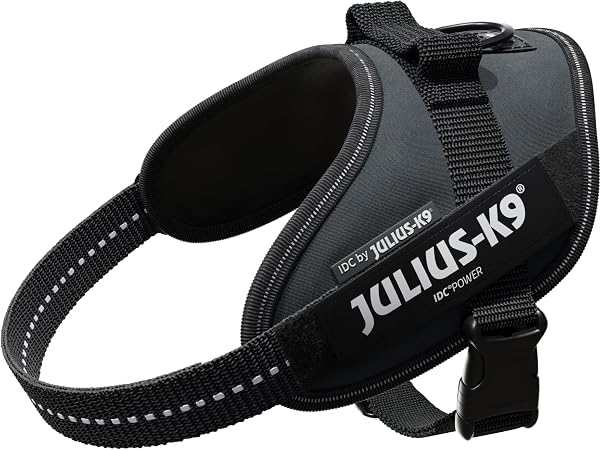 Julius-K9 IDC Powerharness