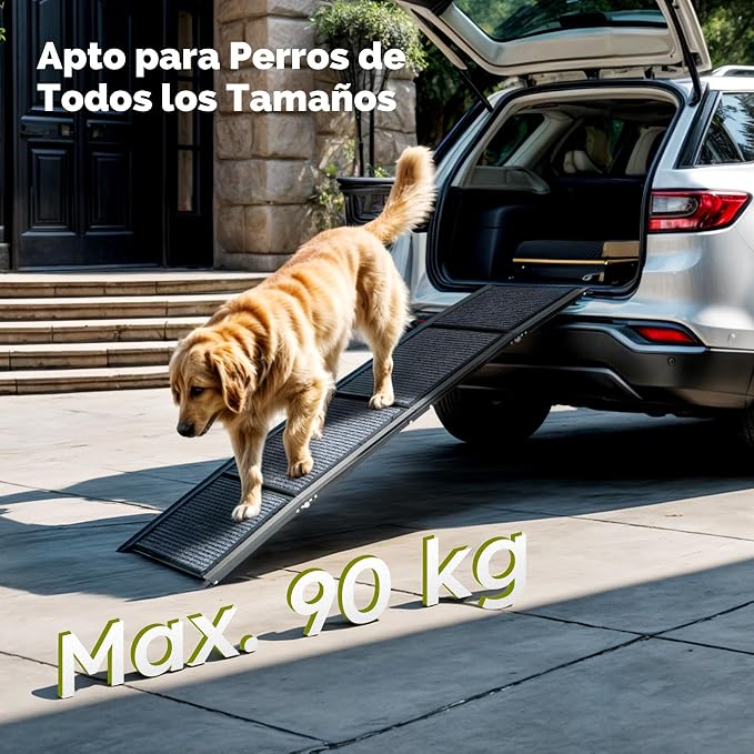 Rampa Plegable CO-Z para Perros — 160 × 44 cm